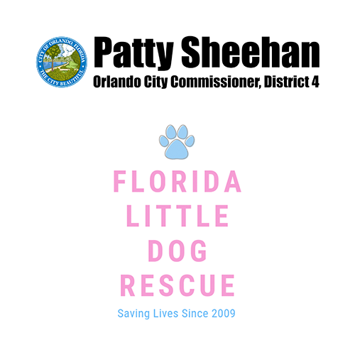 Florida Little Dog Rescue / Commission Patty Sheehan
