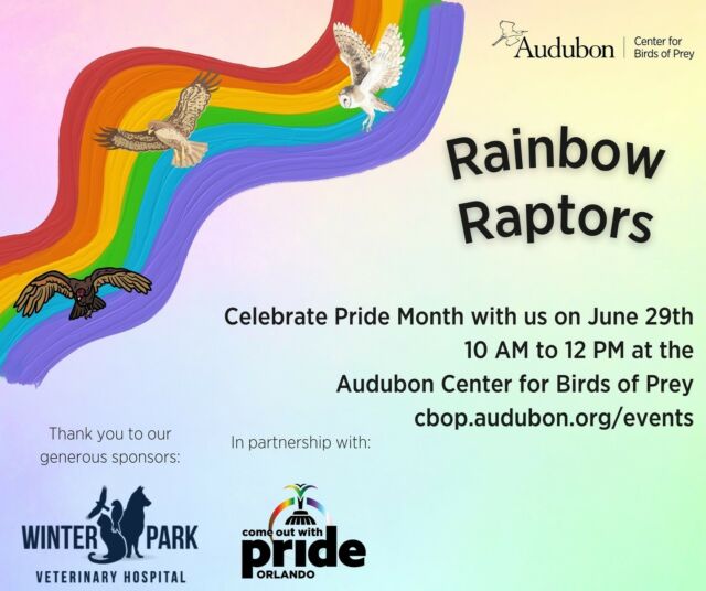 📆 🕶️ Mark your calendars for Rainbow Raptors, the yearly celebration of Pride at the Audubon Center for Birds of Prey! Come and join us on the 29th of June, starting from 10 in the morning till 12 in the afternoon, for a delightful session of bird knowledge, interactive activities, artistic endeavors, and embracing our true selves in the great outdoors. ⁠⁠All are welcome to this FREE and family-oriented extravaganza! 🌈🐦‍⬛🦉🌿⁠#auduboncenterforbirdsofprey #PrideMonth #June #Orlando