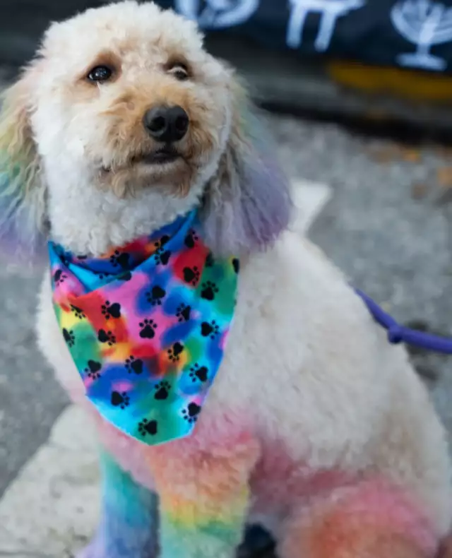 🌈 Happy Friday, fab family! After a week like this, you’ve totally earned a moment to breathe. ☺️⁠⁠Let’s wrap up this week by finding joy in the little things that make you smile and bring you peace. 🕯️🐶 🐾⁠⁠Whether it’s cozying up with a favorite book, grabbing your go-to snack, or just dancing it out in your living room, take some time for YOU. 💖⁠⁠✨ Share your self-care rituals with us! What’s your go-to way to unwind?